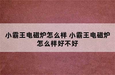 小霸王电磁炉怎么样 小霸王电磁炉怎么样好不好